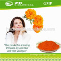 Supply Newest Super Marigold Flower Extract Lutein for lutein supplement